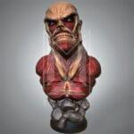 Titan Colosal Colossal Attack on Titan